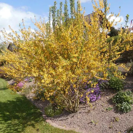 Schoene Aussicht * Diemelsee