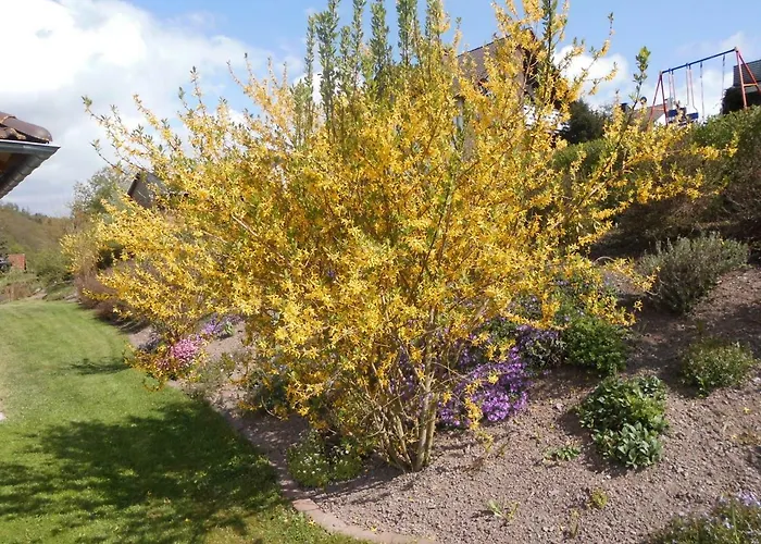 Schoene Aussicht * Diemelsee